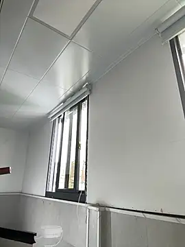 daaqnn webcam