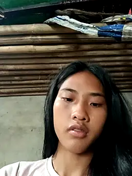 Hoa-tuylip