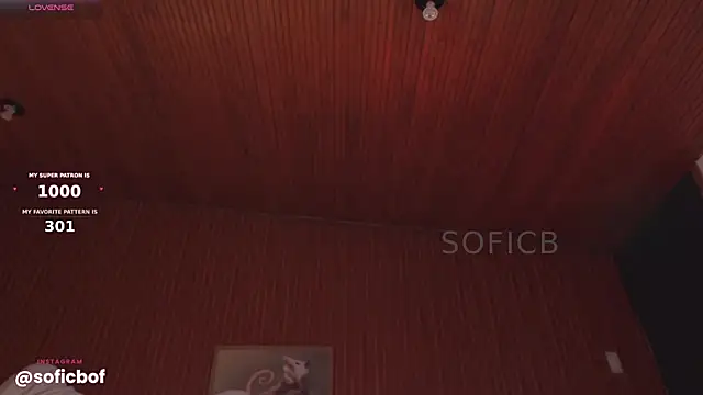 sofi_sc webcam