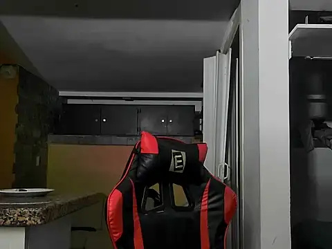 talktome4 webcam
