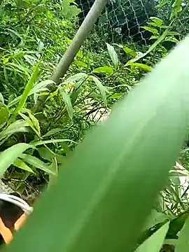 Hoa-tuylip live cam on StripChat