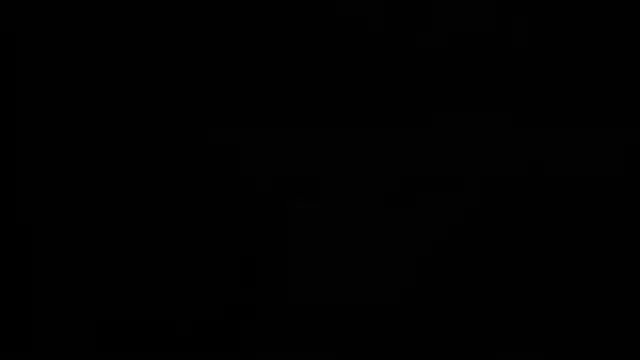 Aurora_Real webcam