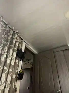 FreszX webcam
