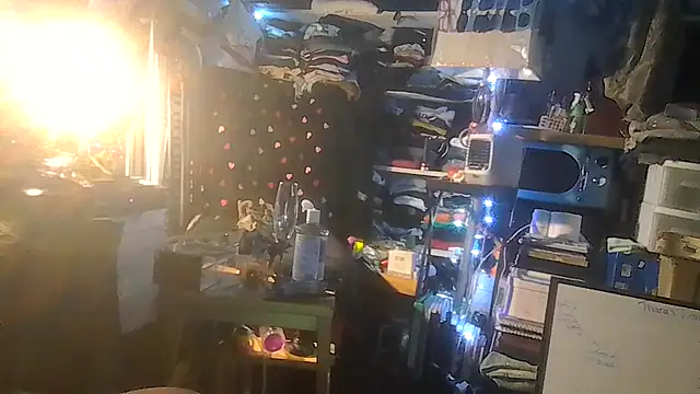 ShysluutGia webcam