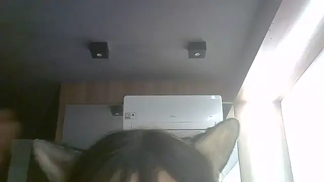 SkinnyKitten live cam on StripChat