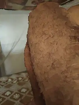 INDIAN_CHEESY-BOSS webcam
