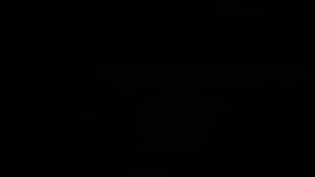 Aurora_Real webcam