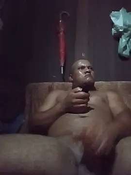 69pa webcam