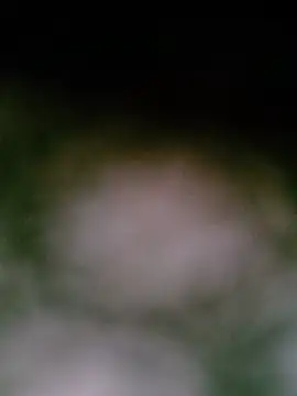 ngan-cute live cam on StripChat