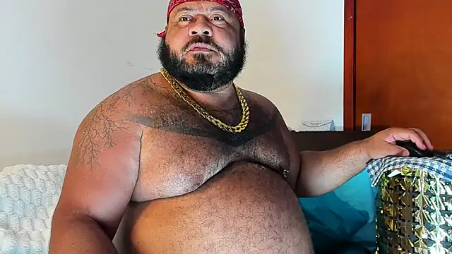Bearspigdirty webcam