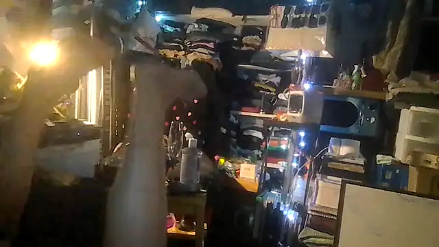 ShysluutGia webcam