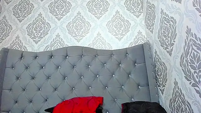 Evaalux webcam