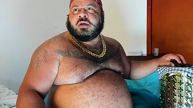 Bearspigdirty webcam