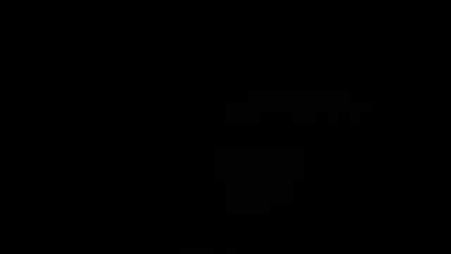 Aurora_Real webcam
