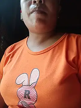 Ip34 webcam
