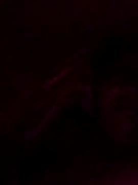 Rs253213 live cam
