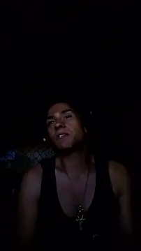ZeldaSneakyLink live cam