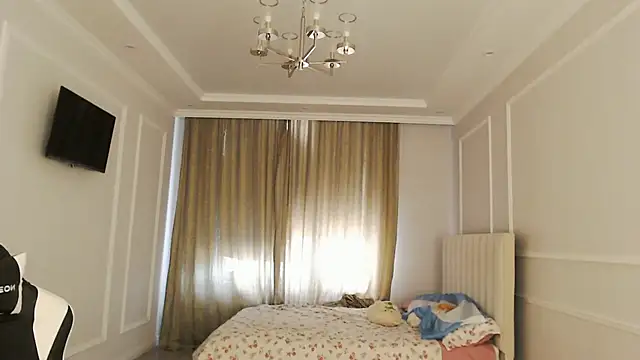 SecretTiny webcam