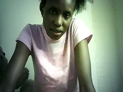 DelteAfriq webcam