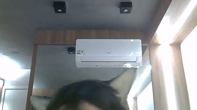 SkinnyKitten webcam