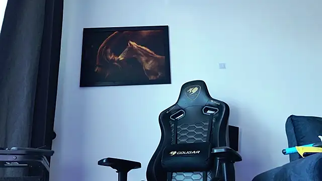 ChrisKox webcam