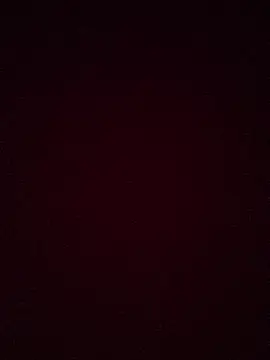 Jskslw webcam