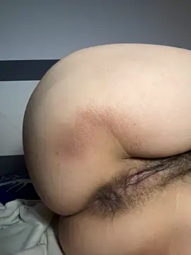 daaqnn webcam