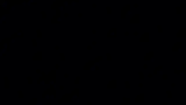 DanPardun webcam