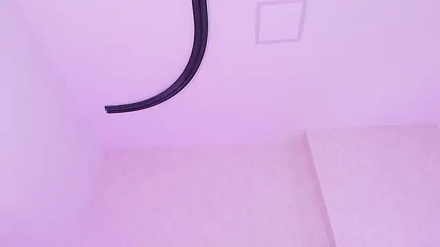 _carolina_fox webcam