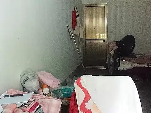 RebelAura webcam