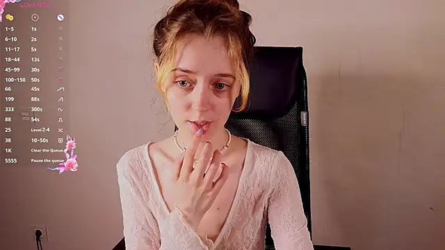 stelamontis webcam