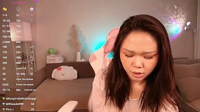 Petitekaya webcam