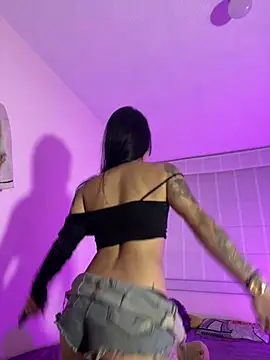 -Brittanny webcam