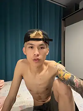 KPL-11 webcam