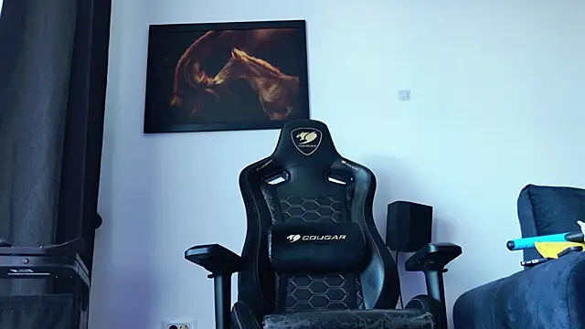 ChrisKox webcam