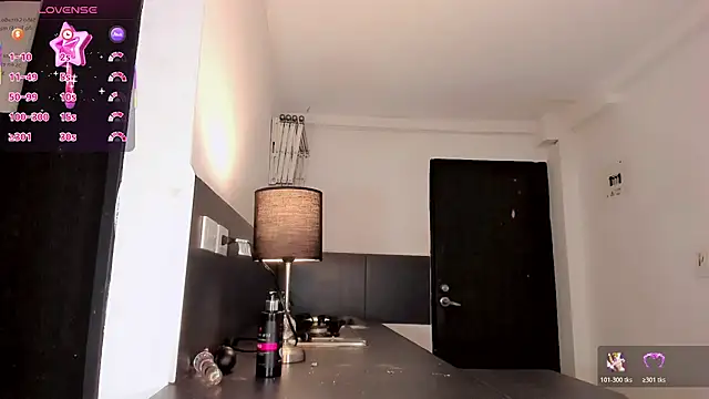 Nikol-hilton webcam