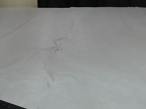 Gweneve webcam