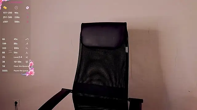 stelamontis webcam