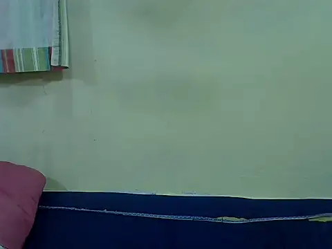 prettyjerule webcam