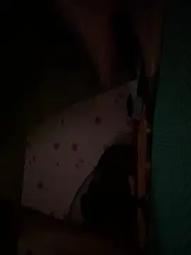 Himme_iu webcam