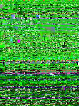 kymii webcam