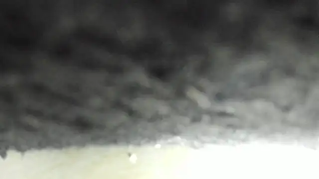 martinaclark webcam