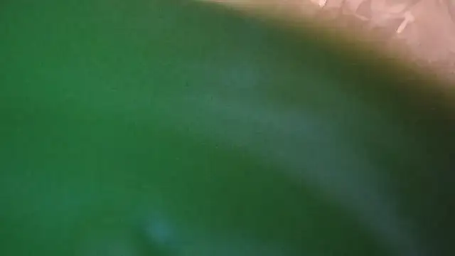 Gain2in1 webcam