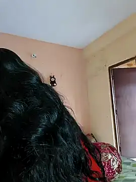 adite20 webcam