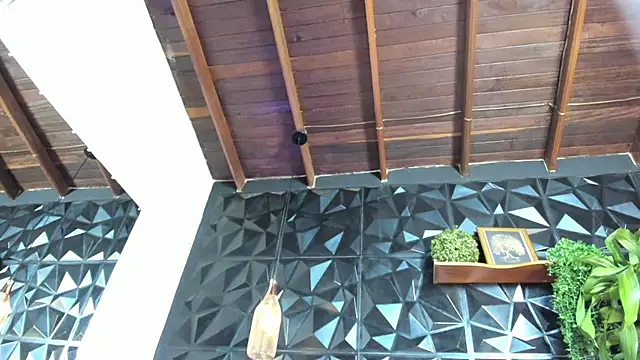 liia_marin webcam