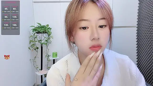Baixi-01 webcam