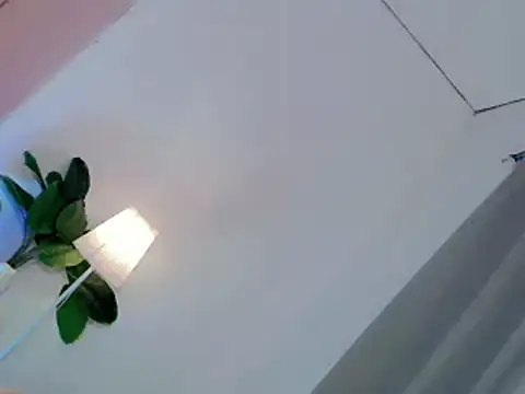 Tasty_trap1 webcam