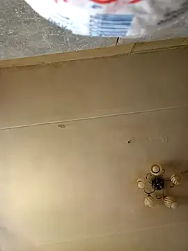 Tupo070481 webcam