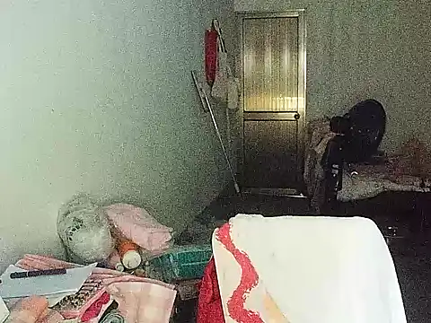 RebelAura webcam