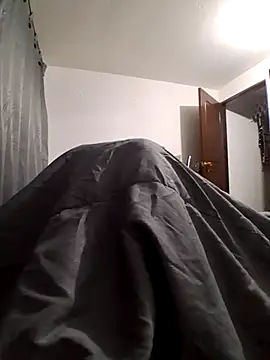 prototipoA45 webcam